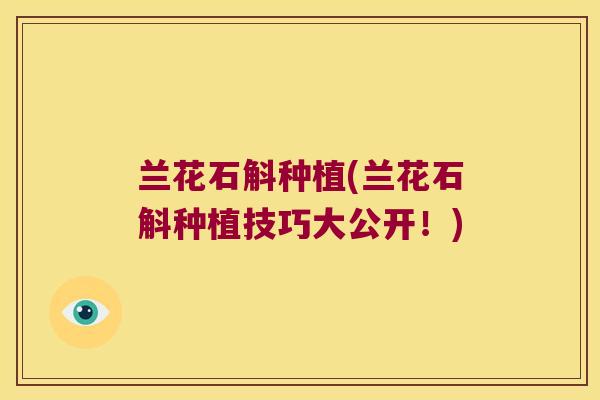 兰花石斛种植(兰花石斛种植技巧大公开！)