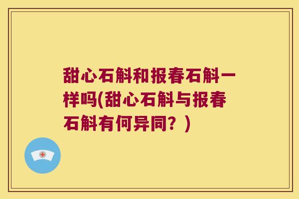甜心石斛和报春石斛一样吗(甜心石斛与报春石斛有何异同？)