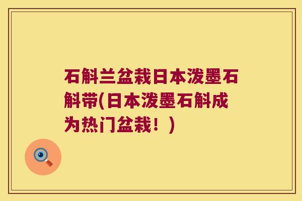 石斛兰盆栽日本泼墨石斛带(日本泼墨石斛成为热门盆栽！)