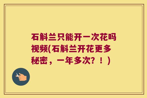 石斛兰只能开一次花吗视频(石斛兰开花更多秘密，一年多次？！)