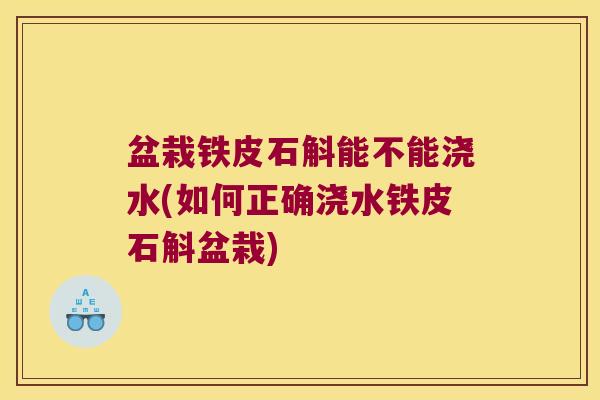 盆栽铁皮石斛能不能浇水(如何正确浇水铁皮石斛盆栽)