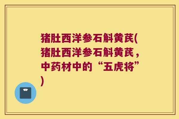 猪肚西洋参石斛黄芪(猪肚西洋参石斛黄芪，中药材中的“五虎将”)