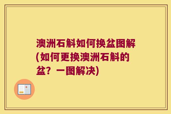 澳洲石斛如何换盆图解(如何更换澳洲石斛的盆？一图解决)