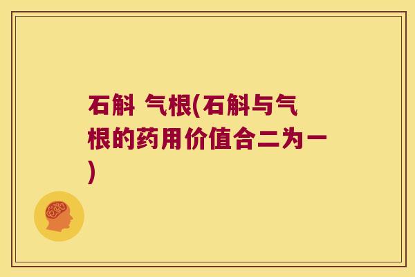 石斛 气根(石斛与气根的药用价值合二为一)