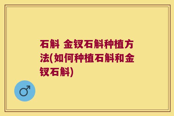 石斛 金钗石斛种植方法(如何种植石斛和金钗石斛)