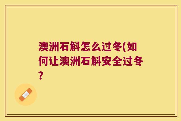 澳洲石斛怎么过冬(如何让澳洲石斛安全过冬？