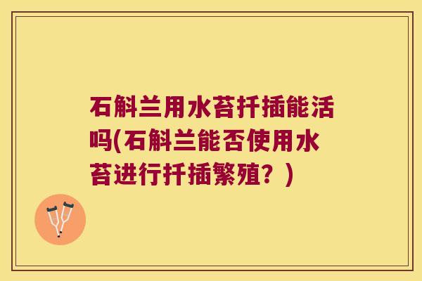 石斛兰用水苔扦插能活吗(石斛兰能否使用水苔进行扦插繁殖？)
