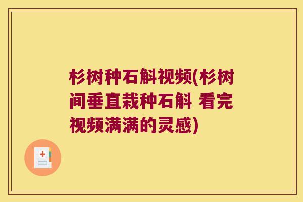 杉树种石斛视频(杉树间垂直栽种石斛 看完视频满满的灵感)