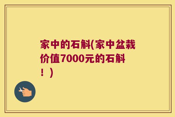家中的石斛(家中盆栽价值7000元的石斛！)