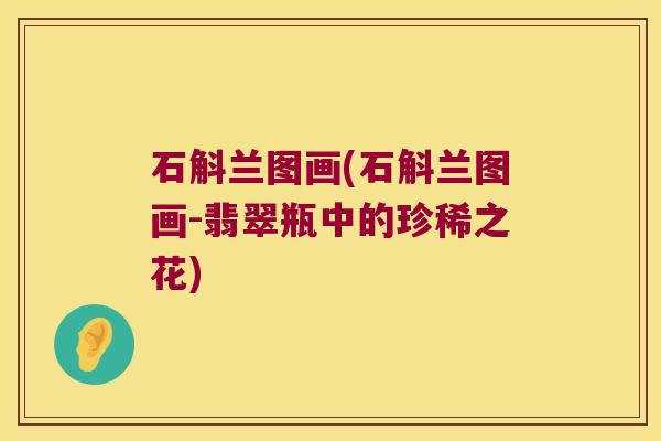 石斛兰图画(石斛兰图画-翡翠瓶中的珍稀之花)