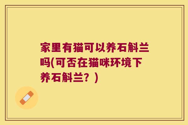 家里有猫可以养石斛兰吗(可否在猫咪环境下养石斛兰?) 家里有猫可以养石斛兰吗(可否在猫咪环境下养石斛兰?)