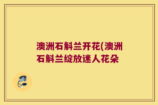澳洲石斛兰开花(澳洲石斛兰绽放迷人花朵 澳洲石斛兰开花(澳洲石斛兰绽放迷人花朵