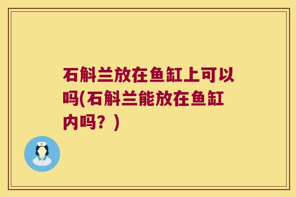 石斛兰放在鱼缸上可以吗(石斛兰能放在鱼缸内吗？)