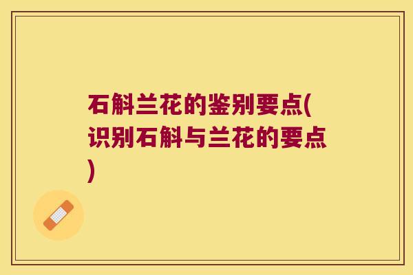 石斛兰花的鉴别要点(识别石斛与兰花的要点)
