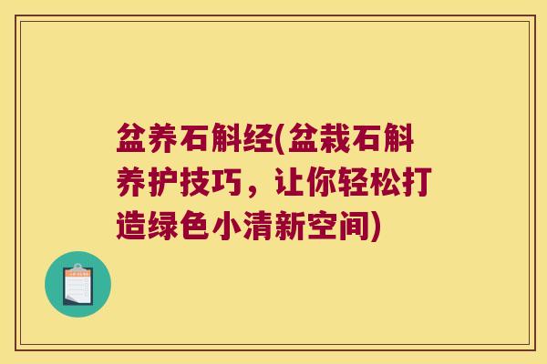 盆养石斛经(盆栽石斛养护技巧，让你轻松打造绿色小清新空间)