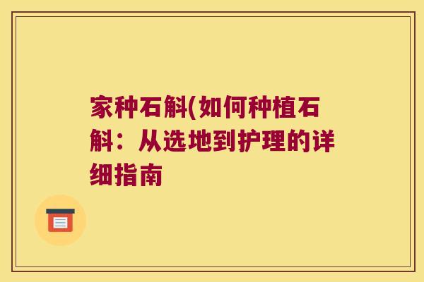 家种石斛(如何种植石斛：从选地到护理的详细指南