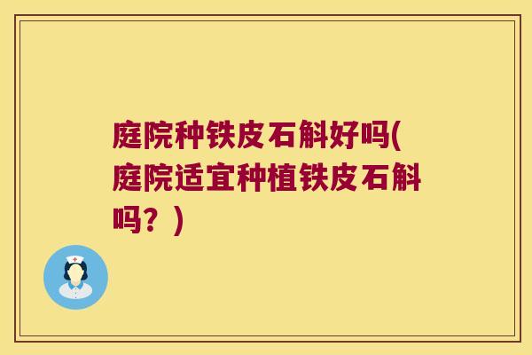庭院种铁皮石斛好吗(庭院适宜种植铁皮石斛吗？)