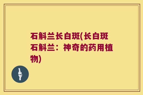 石斛兰长白斑(长白斑石斛兰：神奇的药用植物)