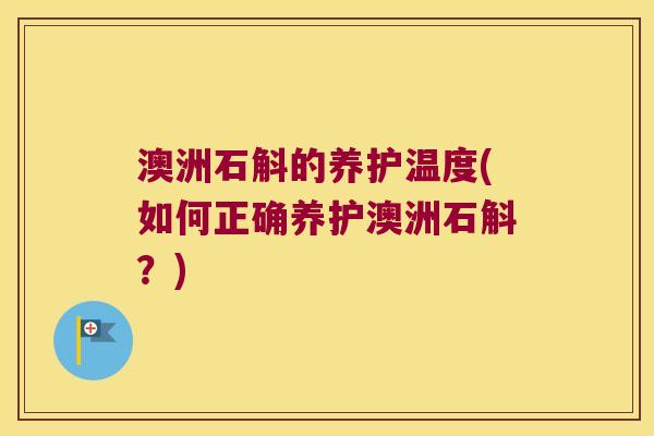 澳洲石斛的养护温度(如何正确养护澳洲石斛？)