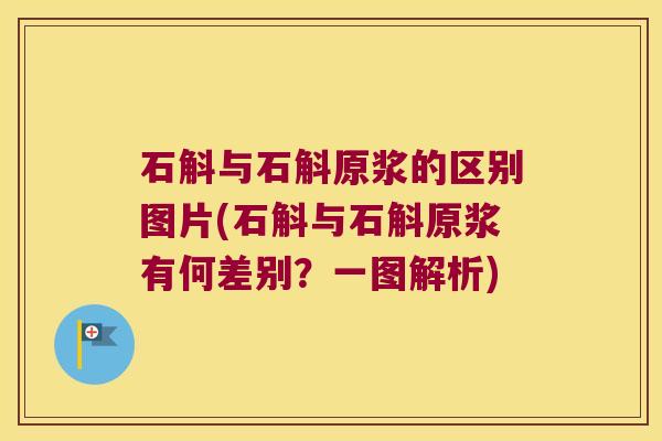 石斛与石斛原浆的区别图片(石斛与石斛原浆有何差别？一图解析)