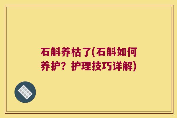 石斛养枯了(石斛如何养护？护理技巧详解)