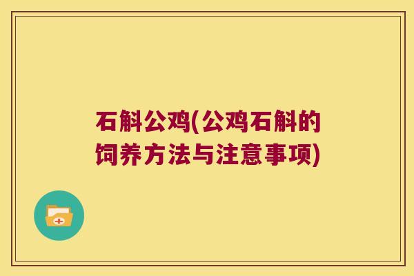 石斛公鸡(公鸡石斛的饲养方法与注意事项)