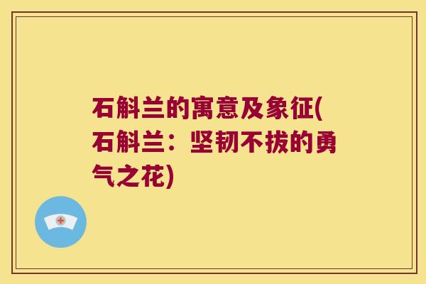 石斛兰的寓意及象征(石斛兰：坚韧不拔的勇气之花)
