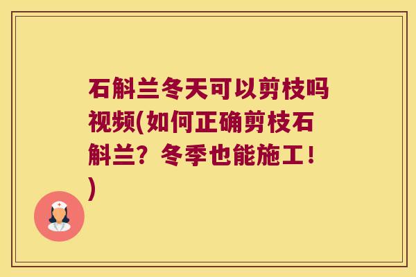 石斛兰冬天可以剪枝吗视频(如何正确剪枝石斛兰？冬季也能施工！)