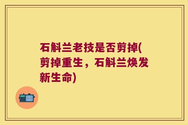 石斛兰老技是否剪掉(剪掉重生，石斛兰焕发新生命)