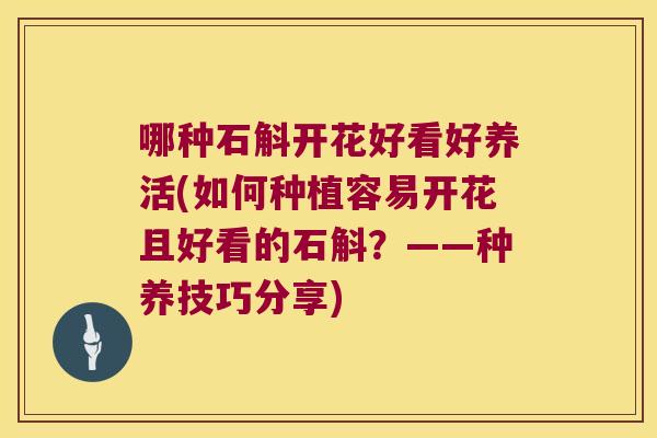 哪种石斛开花好看好养活(如何种植容易开花且好看的石斛？——种养技巧分享)