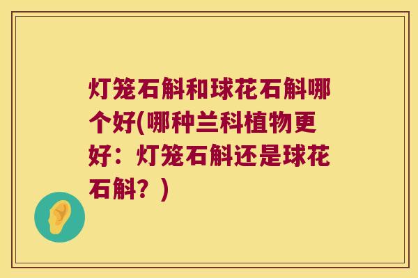 灯笼石斛和球花石斛哪个好(哪种兰科植物更好：灯笼石斛还是球花石斛？)