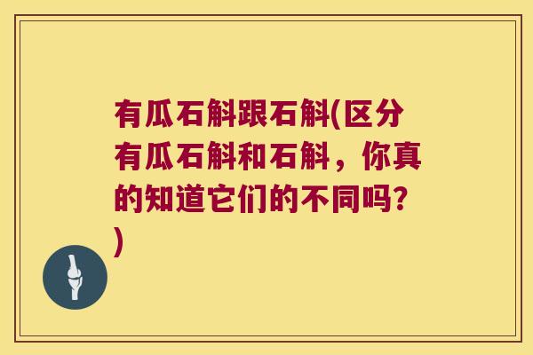 有瓜石斛跟石斛(区分有瓜石斛和石斛，你真的知道它们的不同吗？)