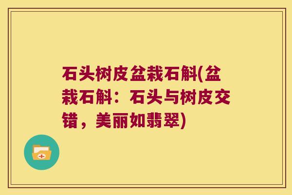 石头树皮盆栽石斛(盆栽石斛：石头与树皮交错，美丽如翡翠)
