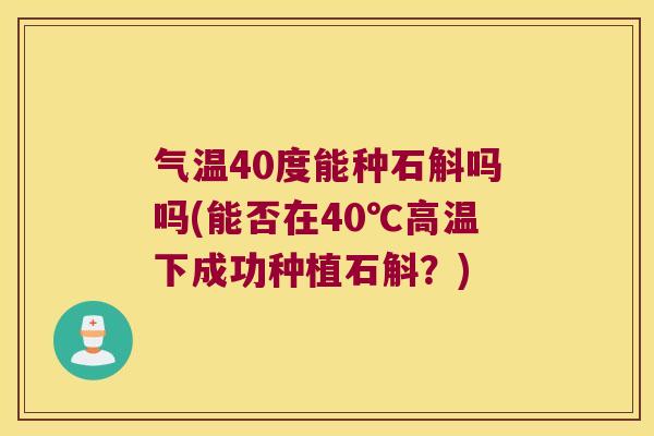 气温40度能种石斛吗吗(能否在40℃高温下成功种植石斛？)