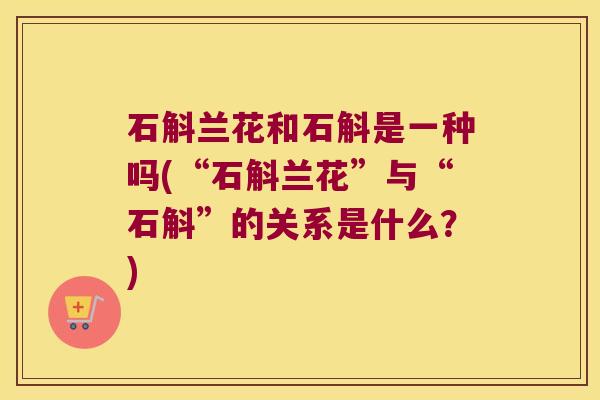 石斛兰花和石斛是一种吗(“石斛兰花”与“石斛”的关系是什么？)