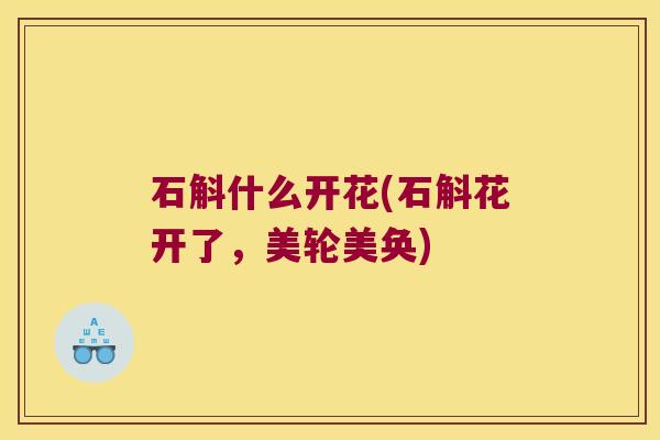 石斛什么开花(石斛花开了，美轮美奂)