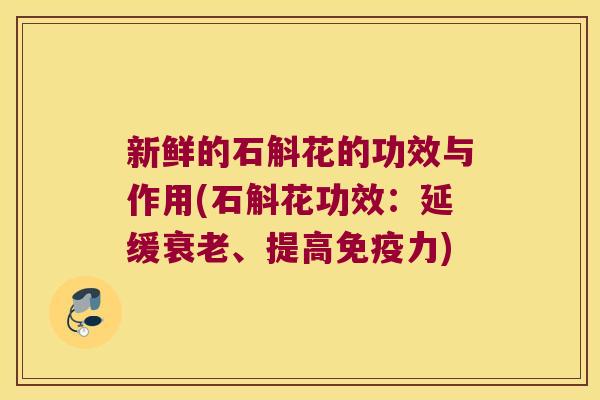 新鲜的石斛花的功效与作用(石斛花功效：延缓衰老、提高免疫力)
