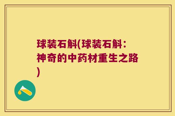球装石斛(球装石斛:神奇的材重生之路) 球装石斛(球装石斛:神奇的材重生之路)