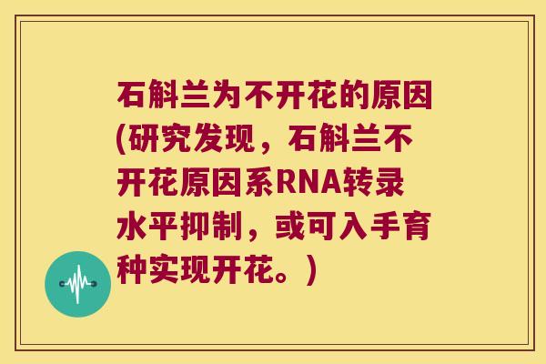 石斛兰为不开花的原因(研究发现，石斛兰不开花原因系RNA转录水平抑制，或可入手育种实现开花。)