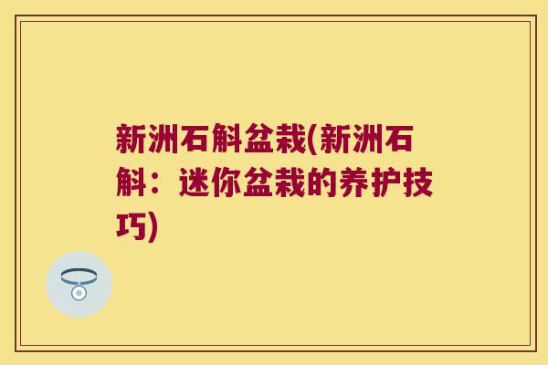新洲石斛盆栽(新洲石斛：迷你盆栽的养护技巧)