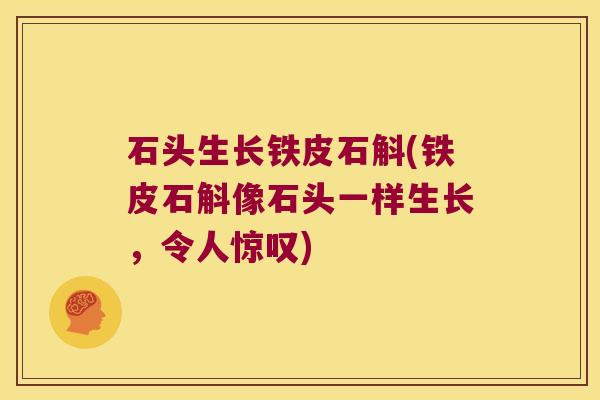 石头生长铁皮石斛(铁皮石斛像石头一样生长，令人惊叹)
