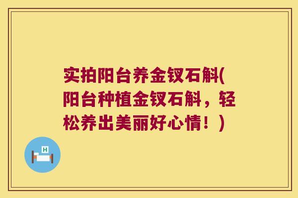实拍阳台养金钗石斛(阳台种植金钗石斛，轻松养出美丽好心情！)