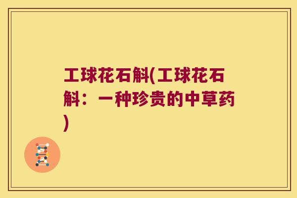 工球花石斛(工球花石斛：一种珍贵的中草药)
