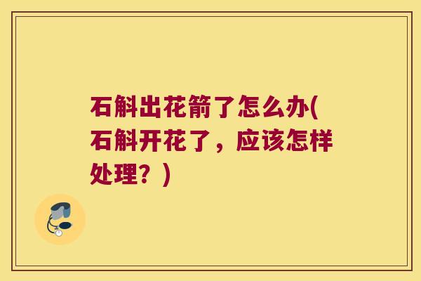 石斛出花箭了怎么办(石斛开花了，应该怎样处理？)