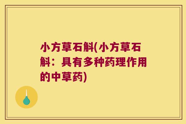 小方草石斛(小方草石斛：具有多种药理作用的中草药)