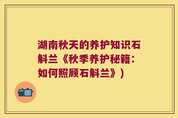 湖南秋天的养护知识石斛兰《秋季养护秘籍：如何照顾石斛兰》)
