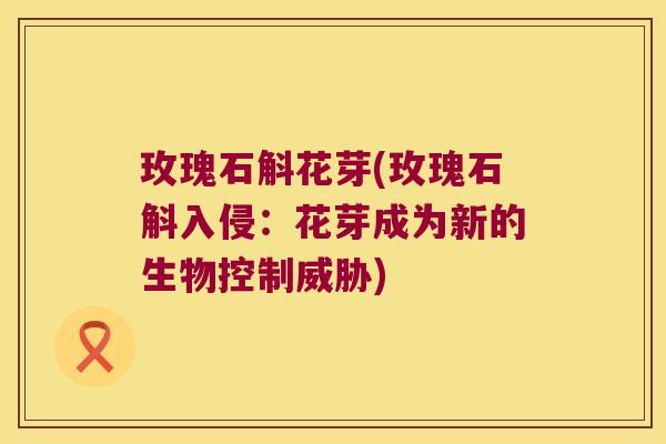 玫瑰石斛花芽(玫瑰石斛入侵：花芽成为新的生物控制威胁)