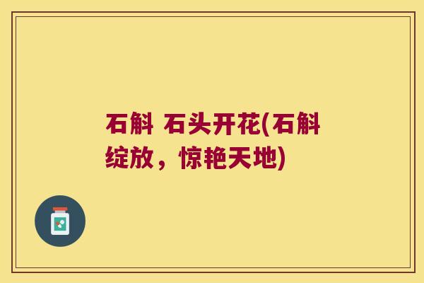 石斛 石头开花(石斛绽放，惊艳天地)