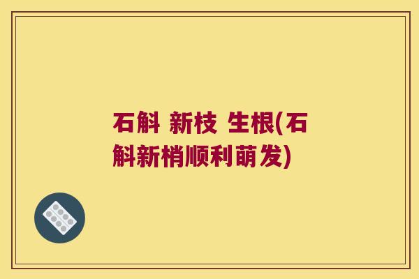石斛 新枝 生根(石斛新梢顺利萌发)
