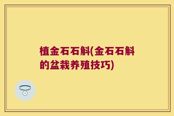植金石石斛(金石石斛的盆栽养殖技巧)